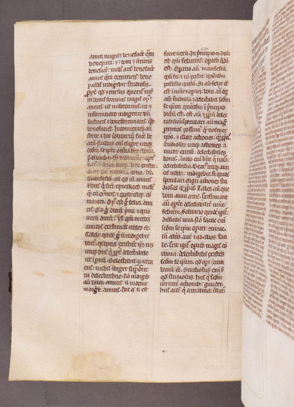 Folio 206 verso